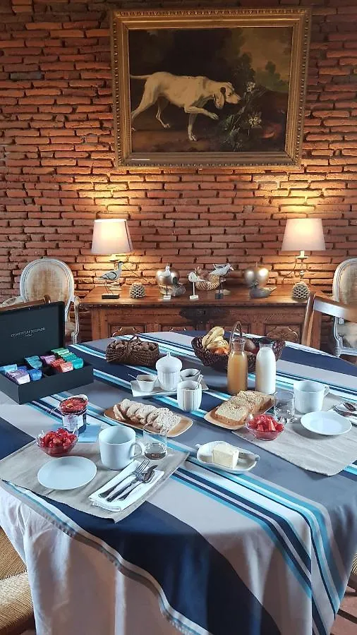 Chateau De Pontie Bed & Breakfast Cornebarrieu